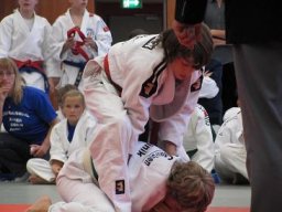 Bilder aus 2011